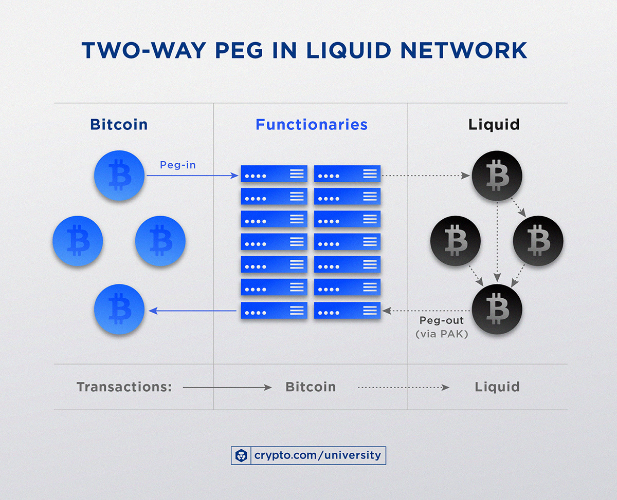 Two Way Peg In Liquid Network 1jul11